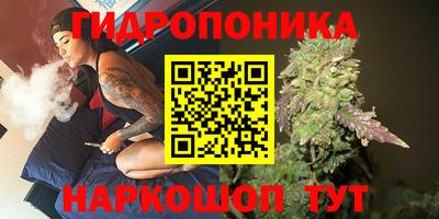 мдпв Жуковский