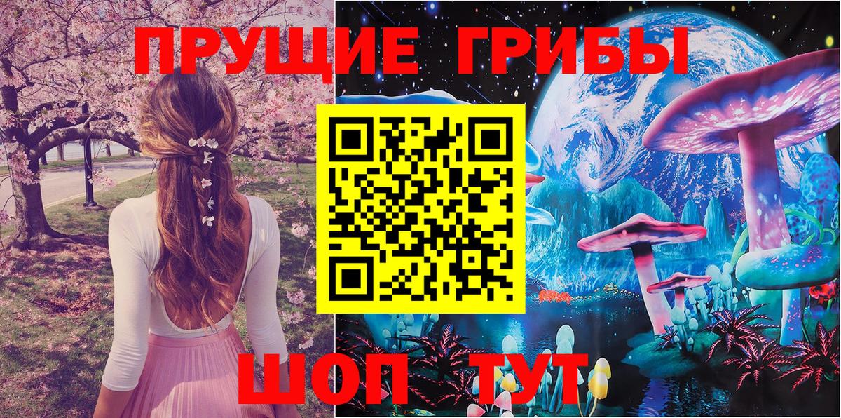 Галлюциногенные грибы Psilocybe Кыштым
